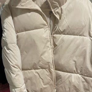 White winter puffer